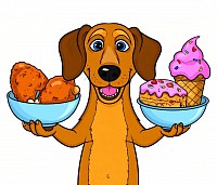 „Hund steht vor einer Auswahl verschiedener Leckereien – herzhaft und süß“